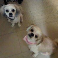 Marilyn Malloy Photo 10