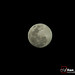 Ronald Moon Photo 34