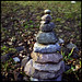 Ann Cairns Photo 12