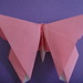 Alice Gray Photo 25