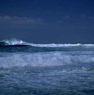 Patrick Robertson Photo 41