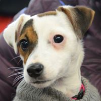 Janis Fisher Photo 17