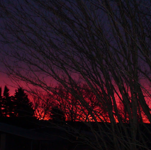 Jacqueline Lord Photo 13