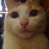 Kristy Clements Photo 15