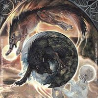 Shane Crowe Photo 16