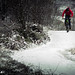Laurence Forest Photo 4