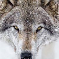 Stacey Henderson Photo 45