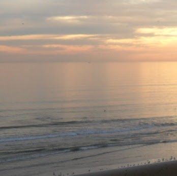 Vicke Bryant Photo 1