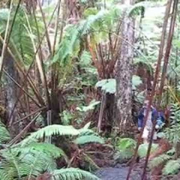 Steve Blake Photo 14