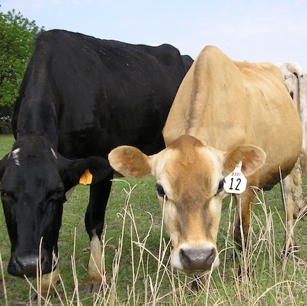 Hope Robbins Photo 9