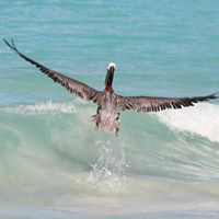 Melissa Heath Photo 14