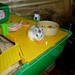 Susan White Photo 59