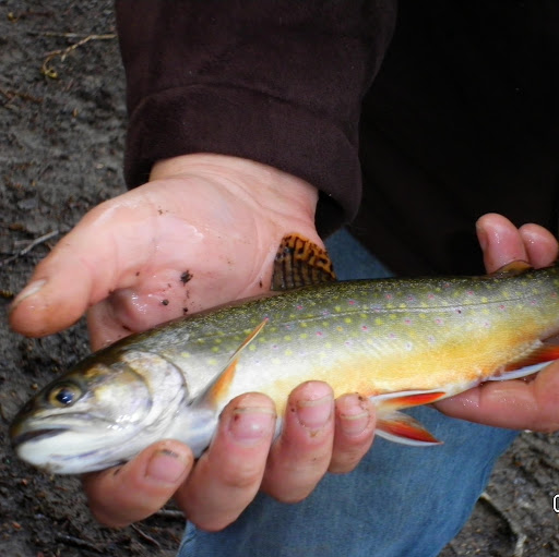 Matt Metzger Photo 32