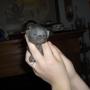 Angel Spaulding Photo 4