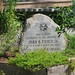 John Pierce Photo 39