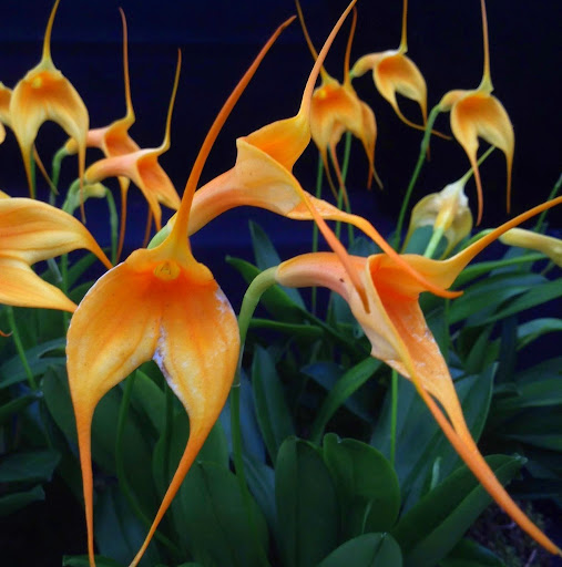 Sarah Elliott Photo 46