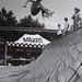 Blake Mercer Photo 33