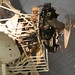 Robin Curtis Photo 22
