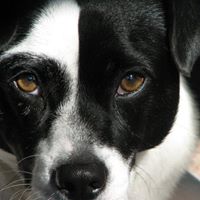 Stephen Childers Photo 14