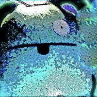 Felix Jenkins Photo 7