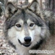 Patricia Ervin Photo 36