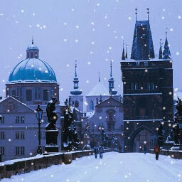 Tracey Douglas Photo 23