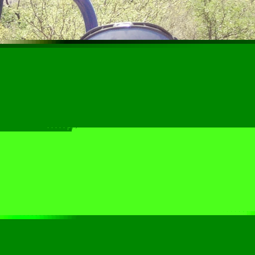 William Jacobs Photo 24