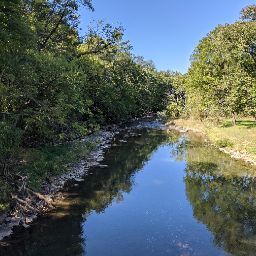 Jill Kauffman Photo 7