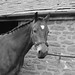 Robyn Welsh Photo 29