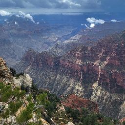 Sarah Waller Photo 20