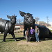 Carol Heinz Photo 40
