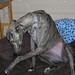 Betty Lay Photo 20