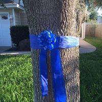 Michelle Matthias Photo 14