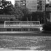 Robert Wentworth Photo 31