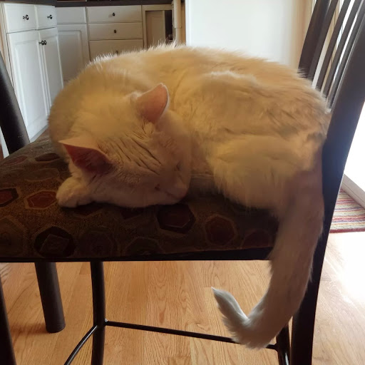 Kimberly Godfrey Photo 31