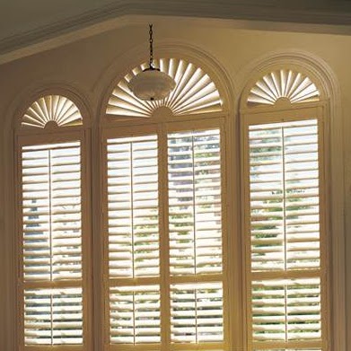 Sandra Shaw Photo 27