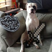 Christian Burnett Photo 8