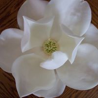 Verna Kelley Photo 2