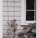 Don Eddy Photo 30