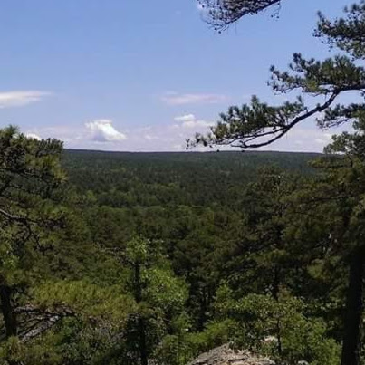 Tom Roberson Photo 12