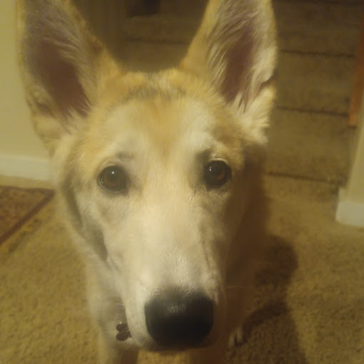 Chris Hanson Photo 24