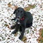 Dominic Clark Photo 32