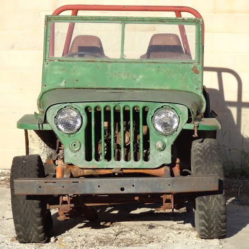 Jodi Alexander Photo 9