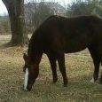 Diane Watts Photo 36