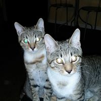 Jason Hinton Photo 21