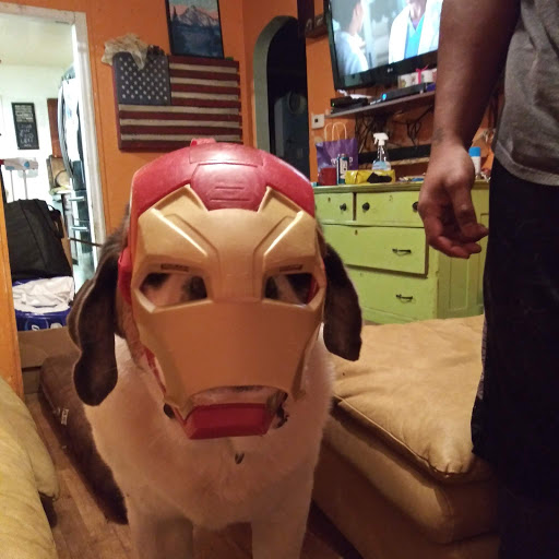 Vickie Peterson Photo 7