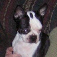 Rita Warren Photo 28 Rita Warren Photo 28