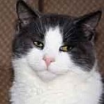 Marie Gallagher Photo 25