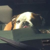 Deborah Mcguire Photo 22