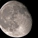 Gary Crouch Photo 13